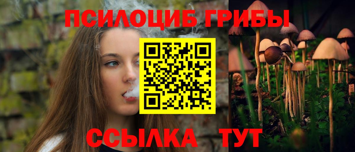 Галлюциногенные грибы Cubensis Солнечногорск